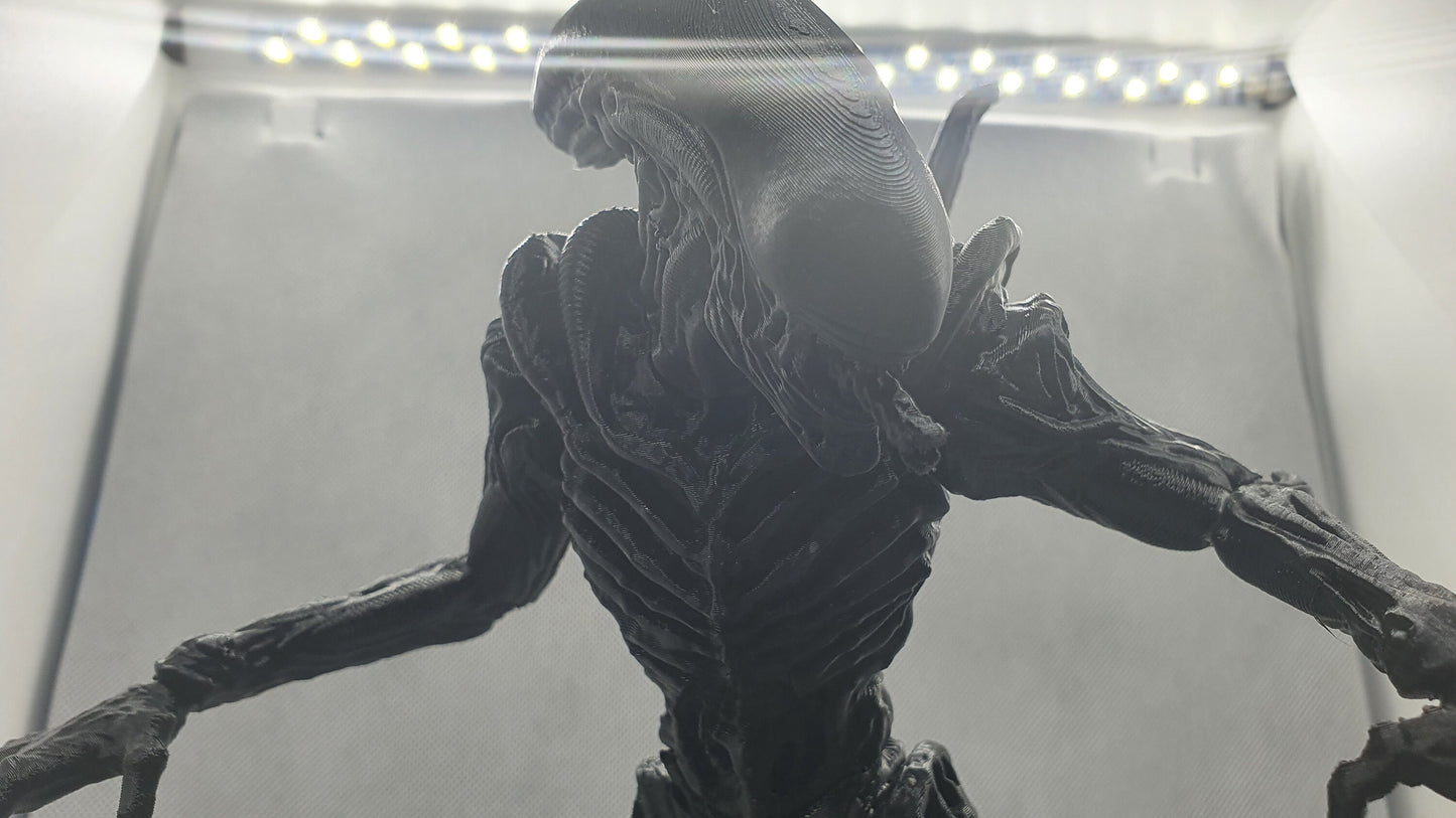 Alien Chamber Bust