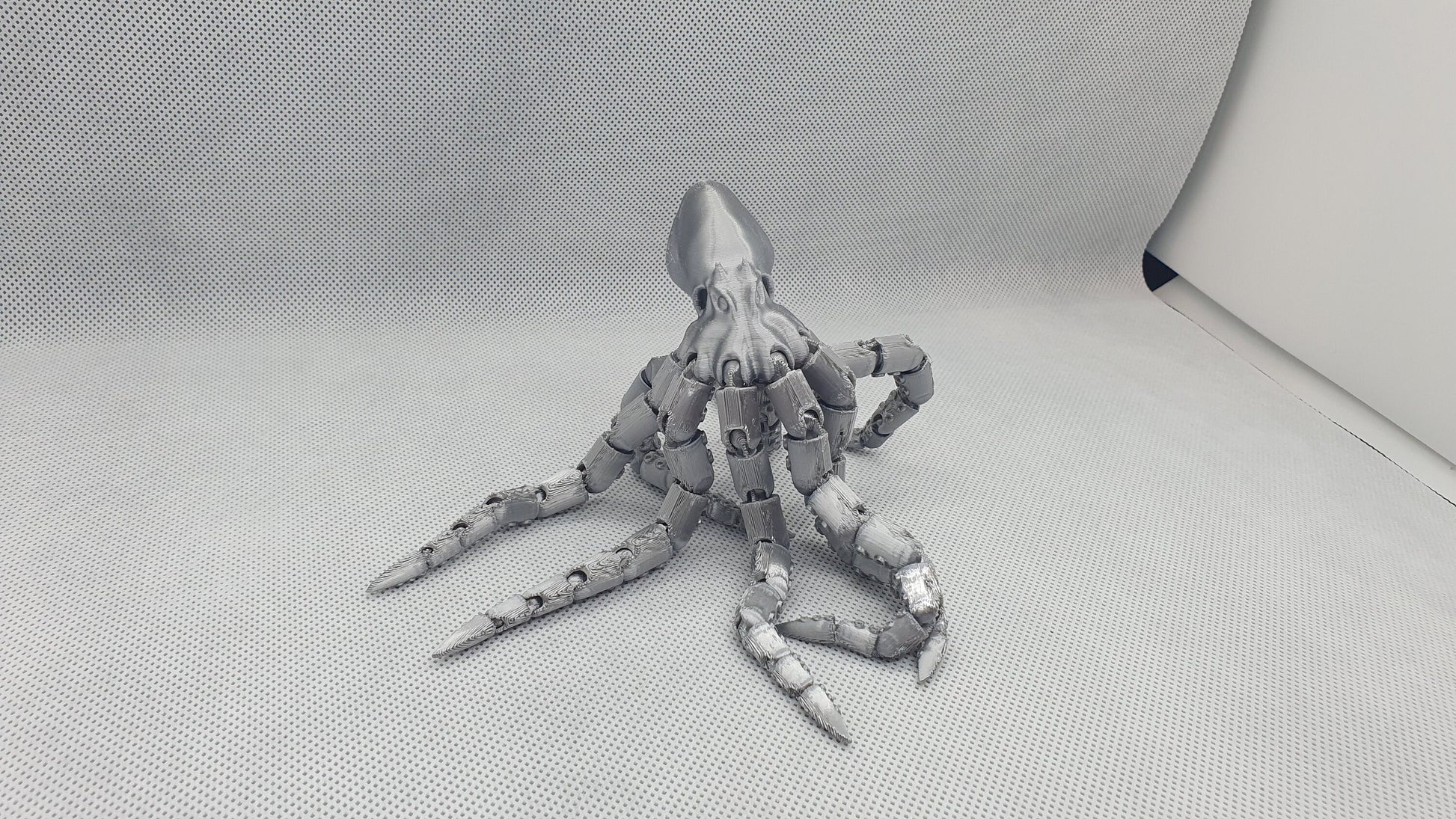 Jointed Octopus