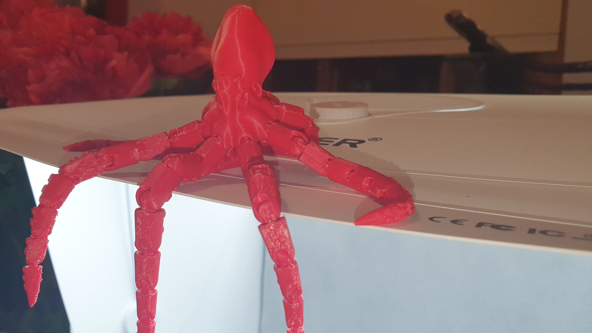 Jointed Octopus