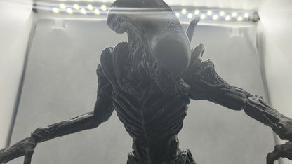 Alien Chamber Bust